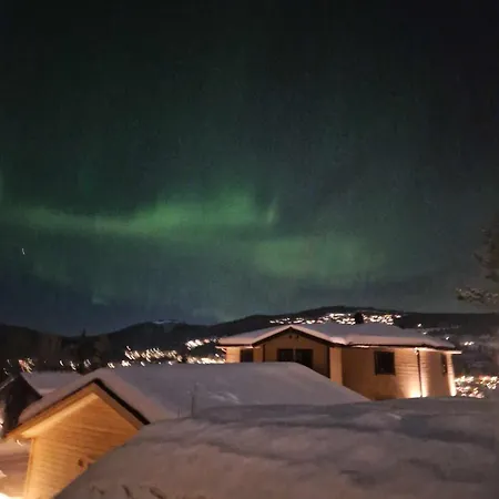 Trysil 豪华全新小木屋住宿 아파트