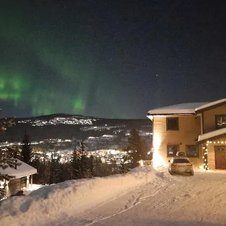 아파트 Trysil 豪华全新小木屋住宿