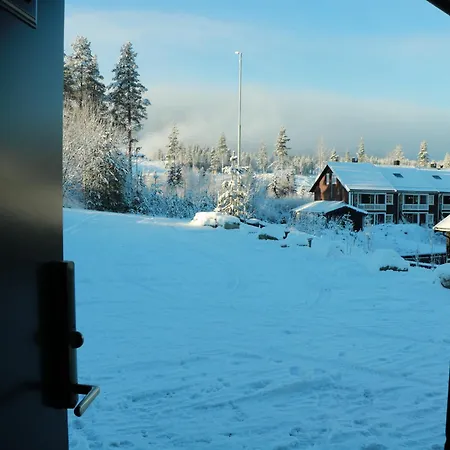 Trysil 豪华全新小木屋住宿 Nybergsund