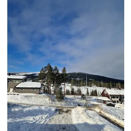 Lejlighed Trysil 豪华全新小木屋住宿